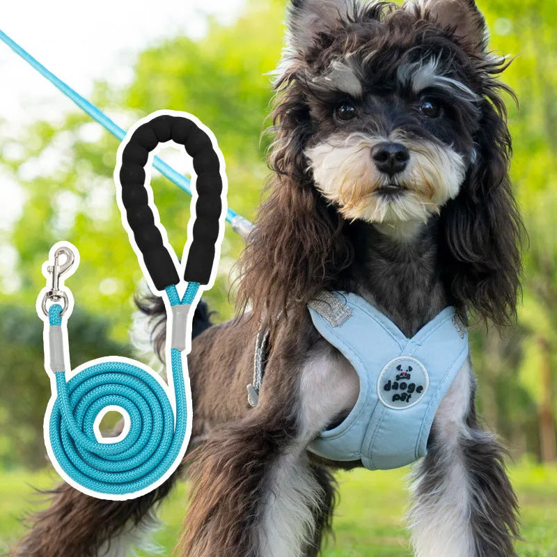 Blue polyester dog walking vest and leash set shown on a small dog