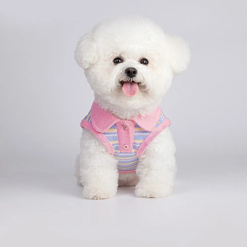 Pink purple vest for a small dog on a white background, showing the autumn clothing design.