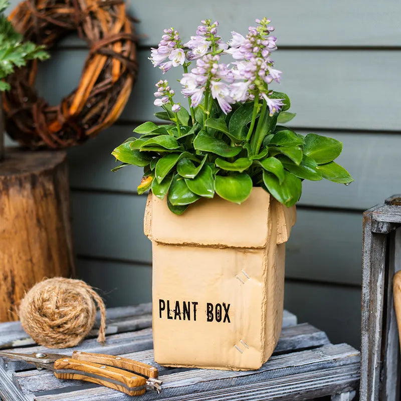 Cement flowerpot styled as a brown paper box with drainage hole for indoor balcony gardening