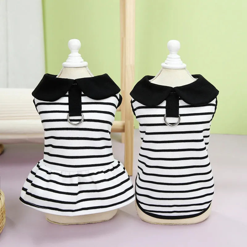 Pet dog wearing striped cotton t-shirt with matching skirt summer outfit set