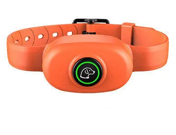 Waterproof dog electric training collar with remote control in black or orange colour