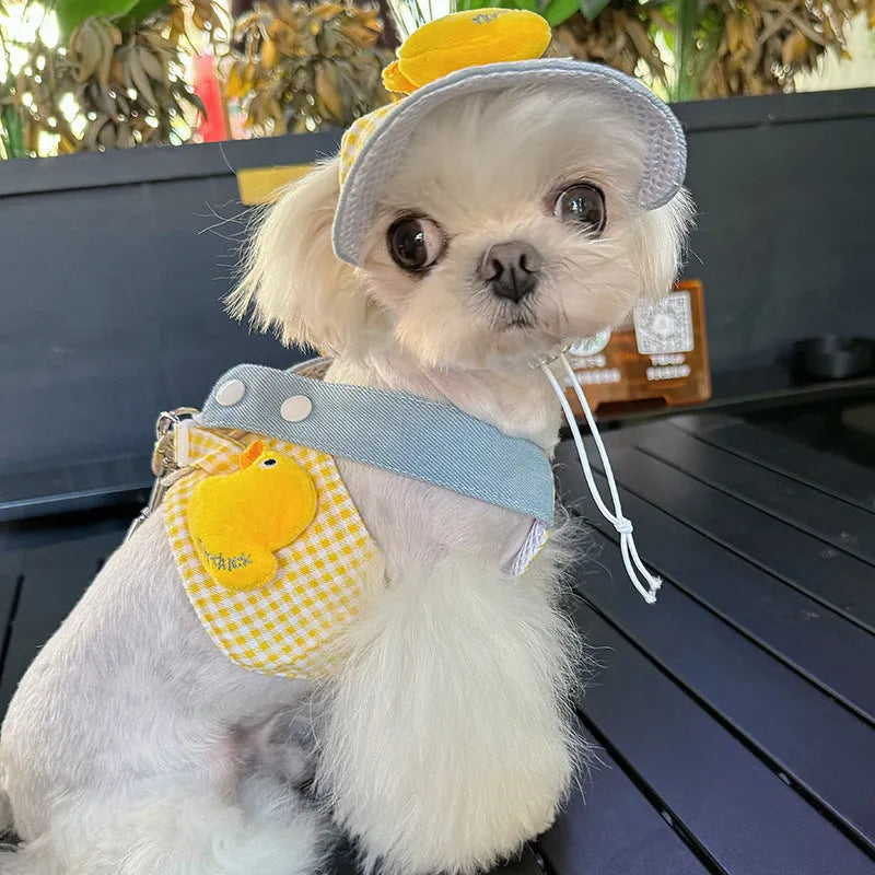 Small pet wearing a cute hat and three-piece outfit with a matching dog harness and wire rope leash set.