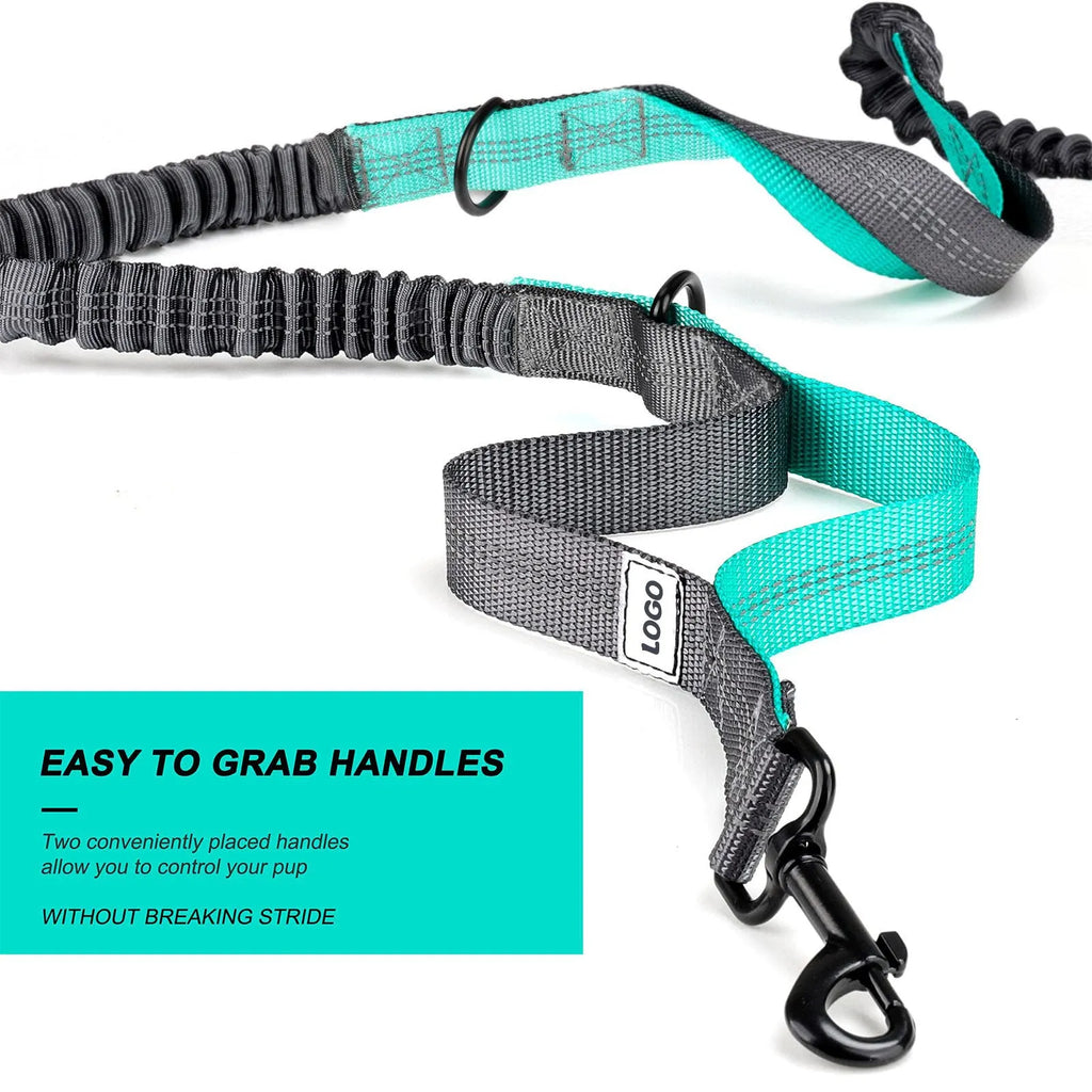 Black outdoor pet training waist bag set with telescopic leash and collar for dog walking