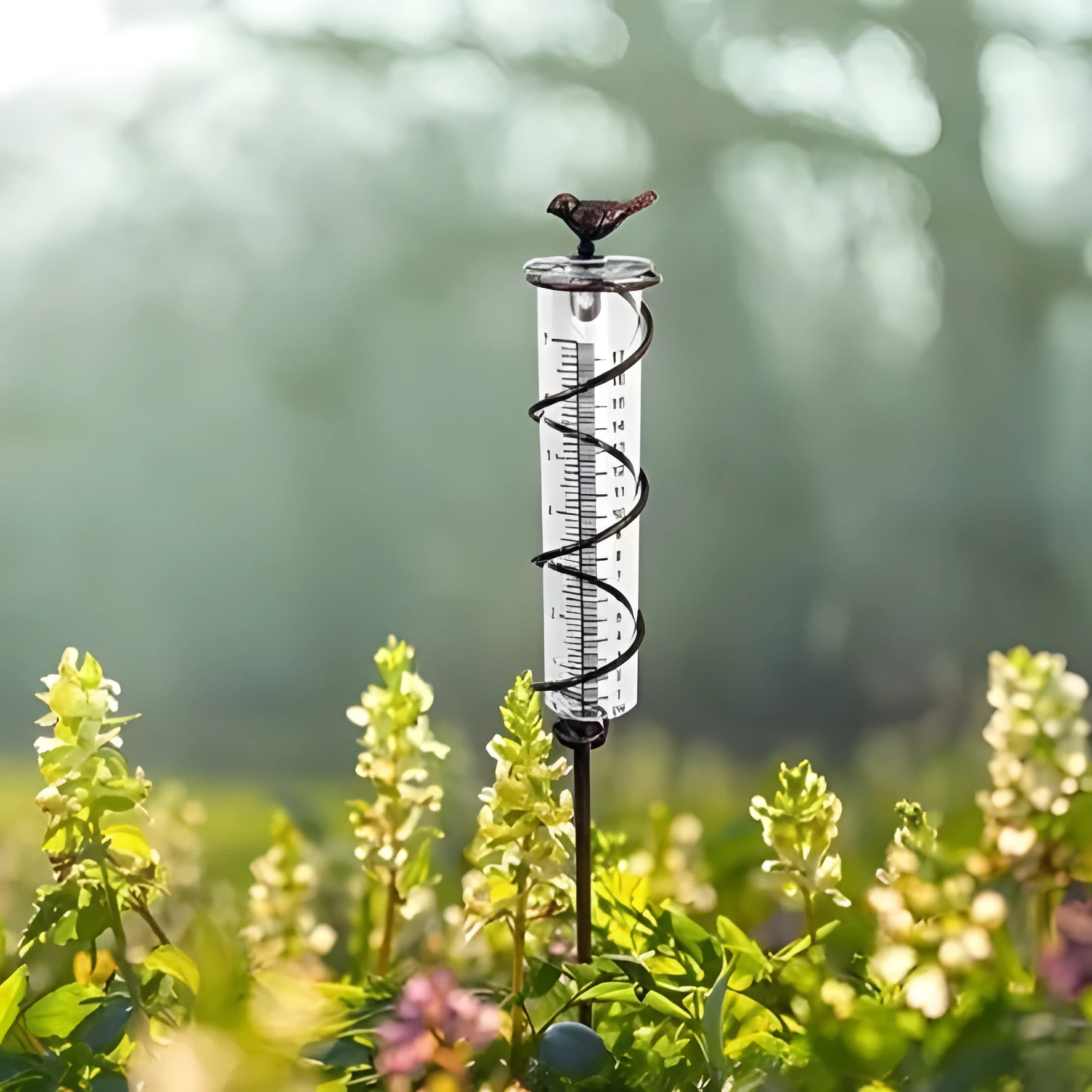 Traditional cast iron bird-shaped hyetometer with glass measurement cylinder showing 800ml capacity