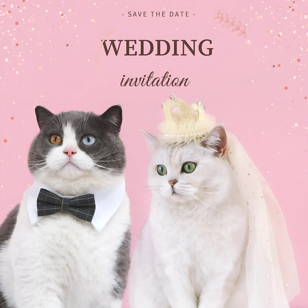 Pet cat wearing a princess crown headdress with a long veil, available in beige or pink.