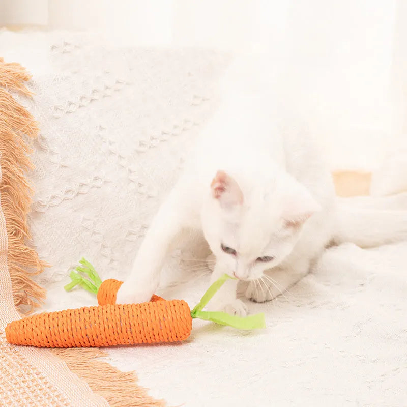 Assortment of cat toys including paper carrot bites, ringing stones, interactive sticks, and dental grinding sticks