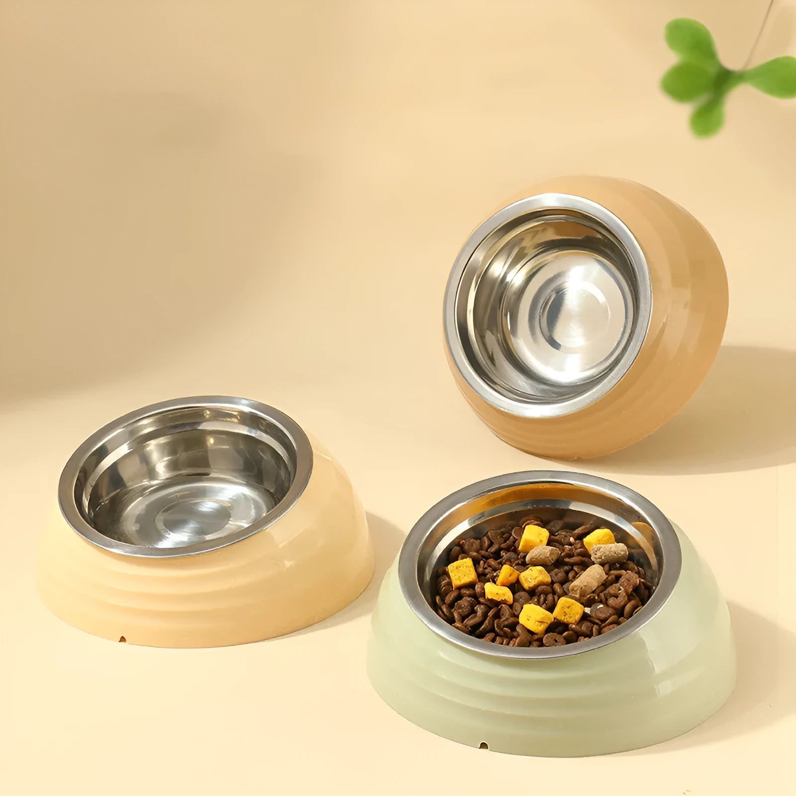 Plastic single cat bowl in beige, brown, and light green colour options