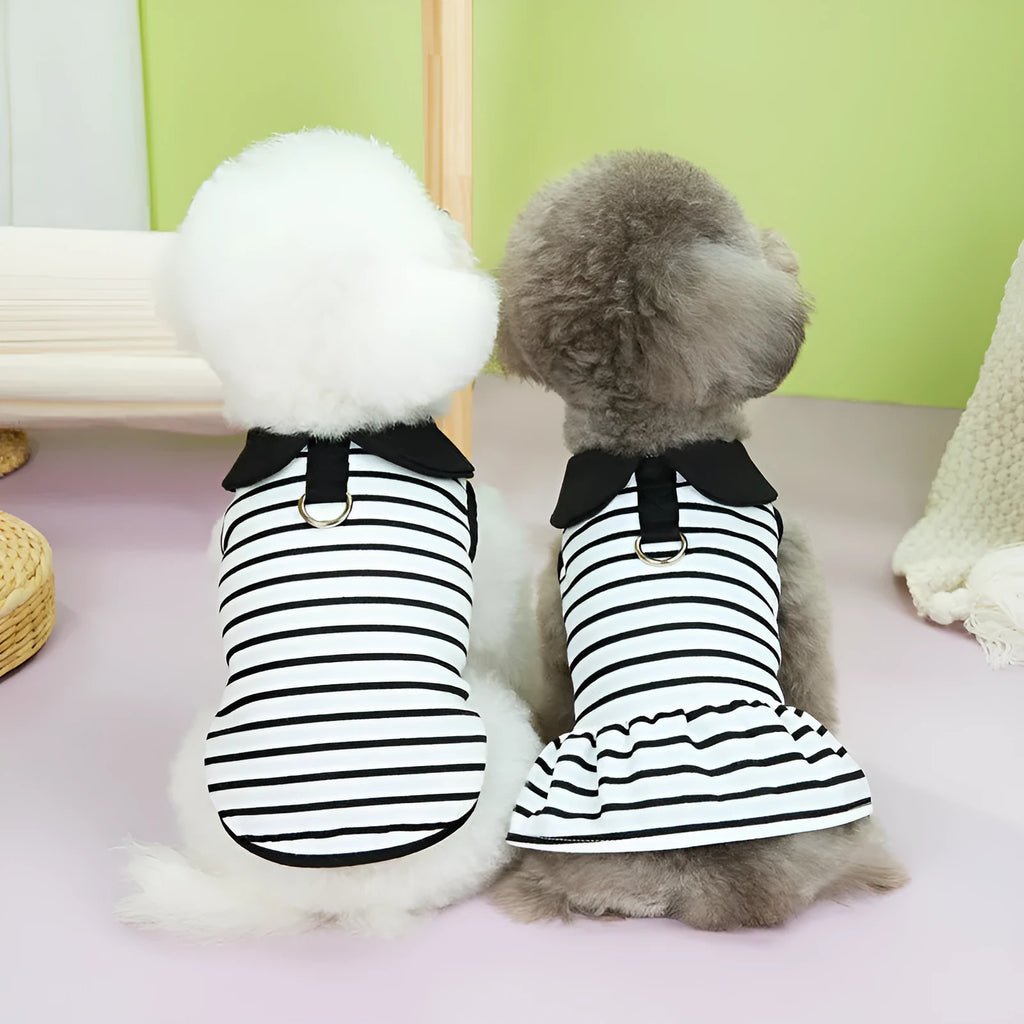 Pet dog wearing striped cotton t-shirt with matching skirt summer outfit set
