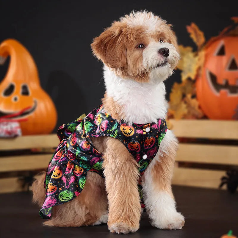 Orange angel wings Halloween costume for a dog on a black background.