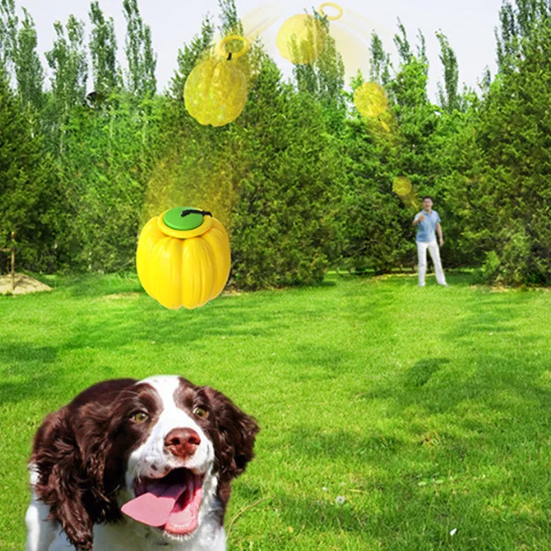 Plastic pumpkin-shaped dog ball with squeaker in green, orange and yellow for small dogs