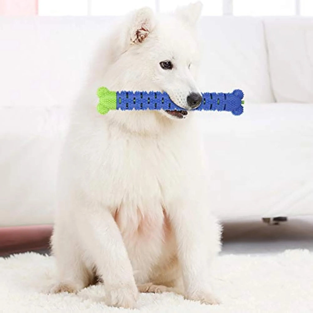 Blue green dog molar tooth cleaner with silicone brush head and massage nodules, 25cm long