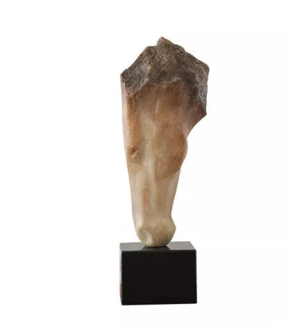 French retro abstract carved horse head desktop ornament sculpture 50 cm tall