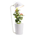 White plastic desktop hydroponic container for soilless plant cultivation with multiple plug standards