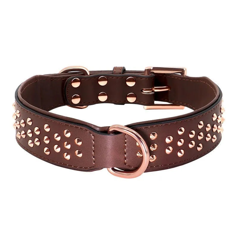 Leather dog collar with brass anti-bite rivets in black, shown with metal buckle.