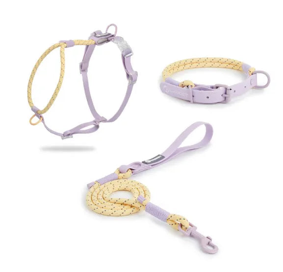 Solid colour PVC dog hand holding rope leash in dark red purple yellow or taoyao green, 120cm long.