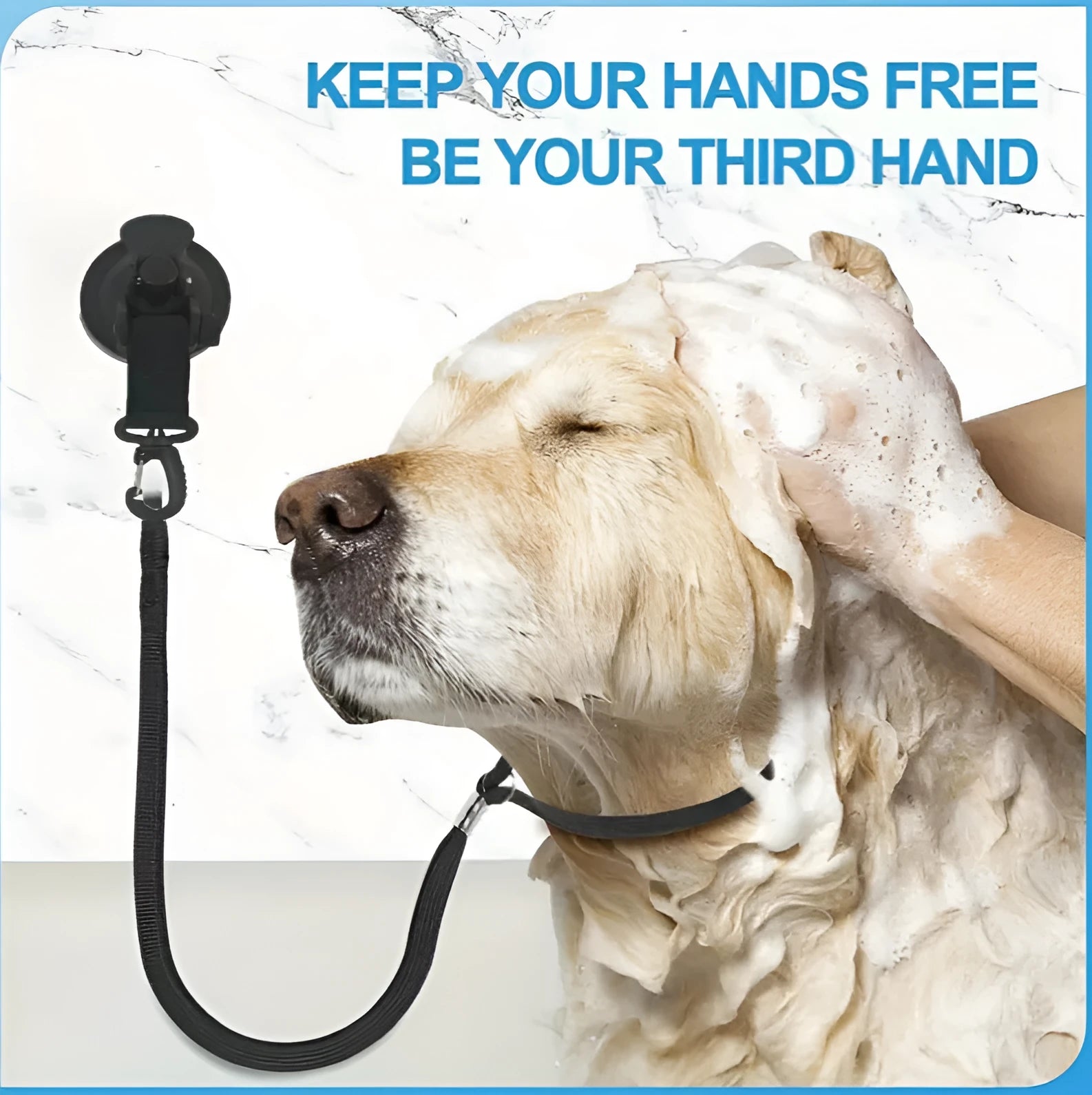 Pet bathing restraint kit with suction cups, traction rope, and handcuffs in black or blue.