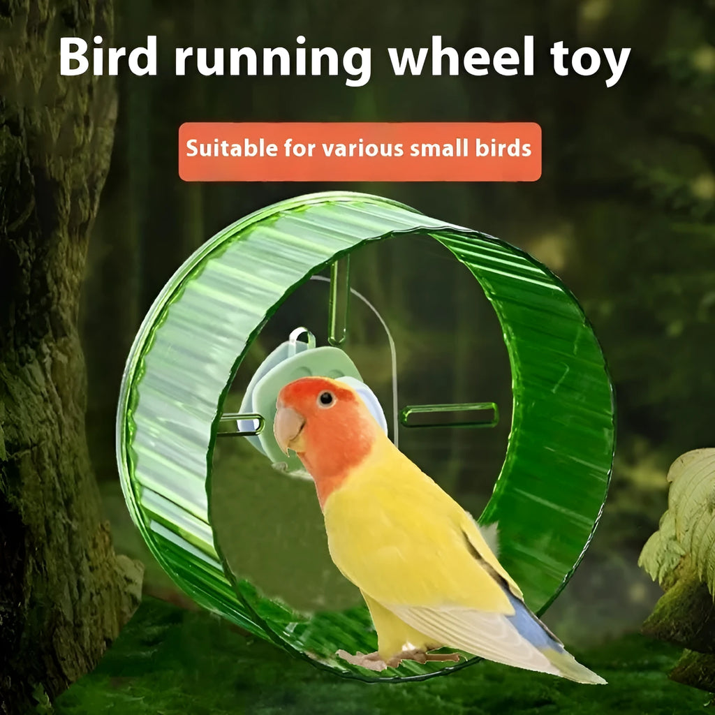 21cm plastic parrot running wheel toy in transparent colour, showing enclosed treadmill design for bird cages.