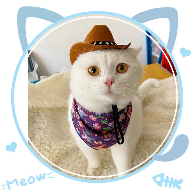 British cat cowboy hat in non woven fabric with decorative velvet belt and ribbon trim
