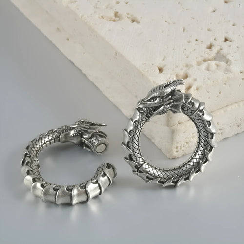 Pair of dragon motif alloy earrings with geometric hollow out design in antique silver colour
