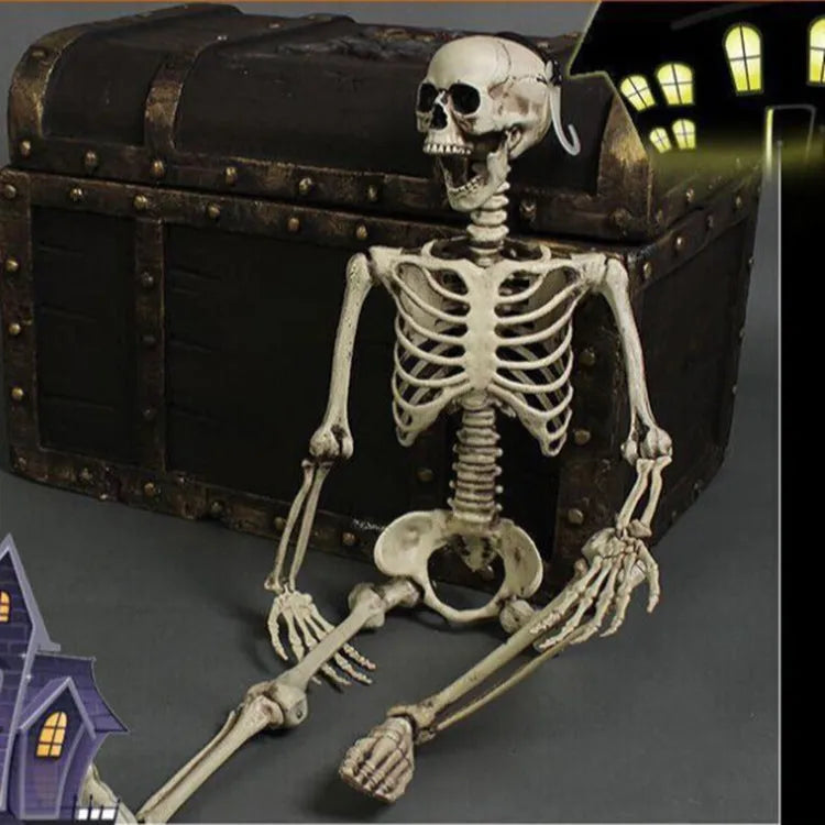 170cm tall plastic skeleton prop with detailed bone structure and movable jaw