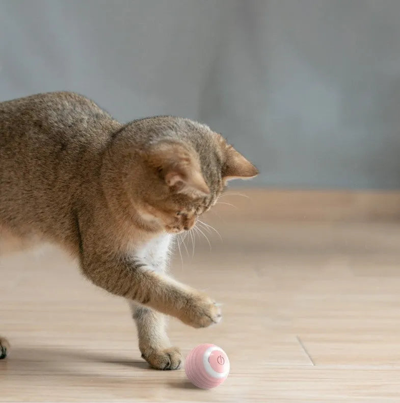 Blue automatic moving cat ball toy with USB charging cable for indoor feline entertainment