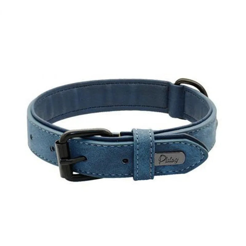 Adjustable anti-loss dog collar in five colour options with metal buckle and double-layer construction