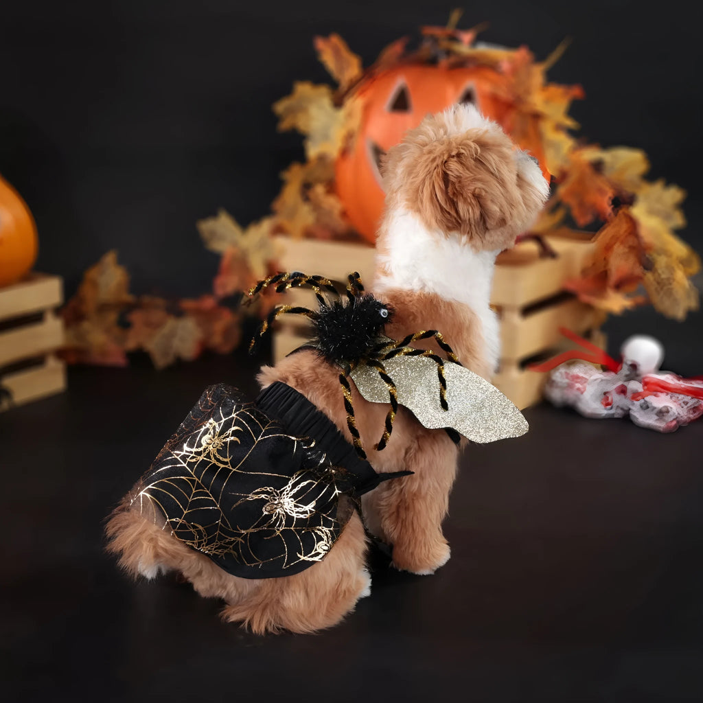 A dog wearing a simple solid-colour polyester costume for Halloween.