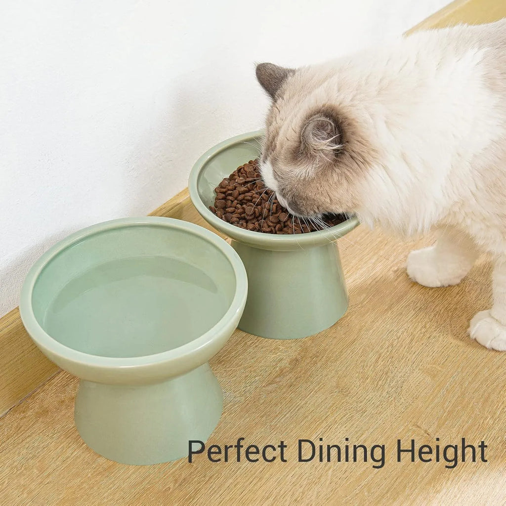 Extra wide elevated ceramic cat food and water bowl set in blue, green, pink or white