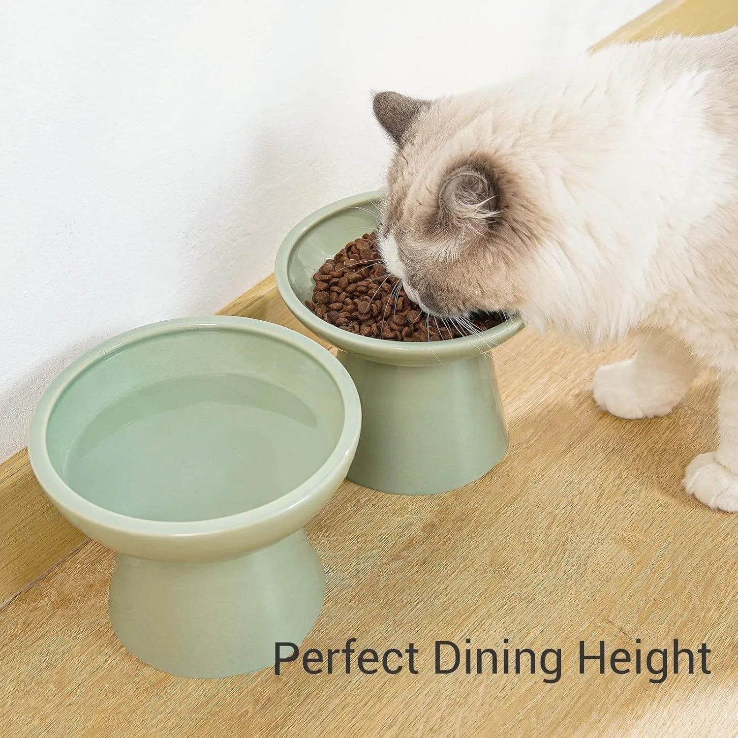 Extra wide elevated ceramic cat food and water bowl set in blue, green, pink or white