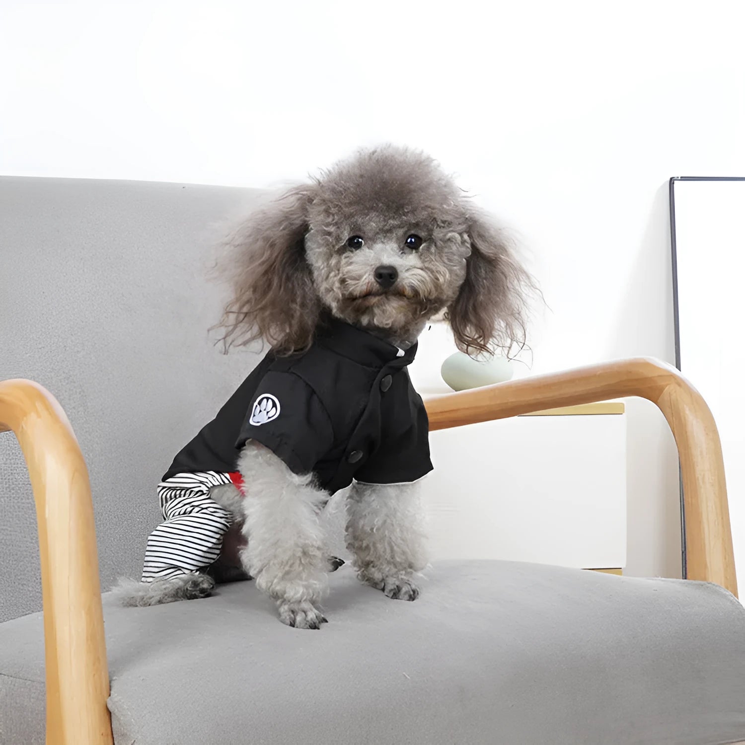 Cotton poodle clothes in four-foot pants or skirt style for small to extra-large dogs