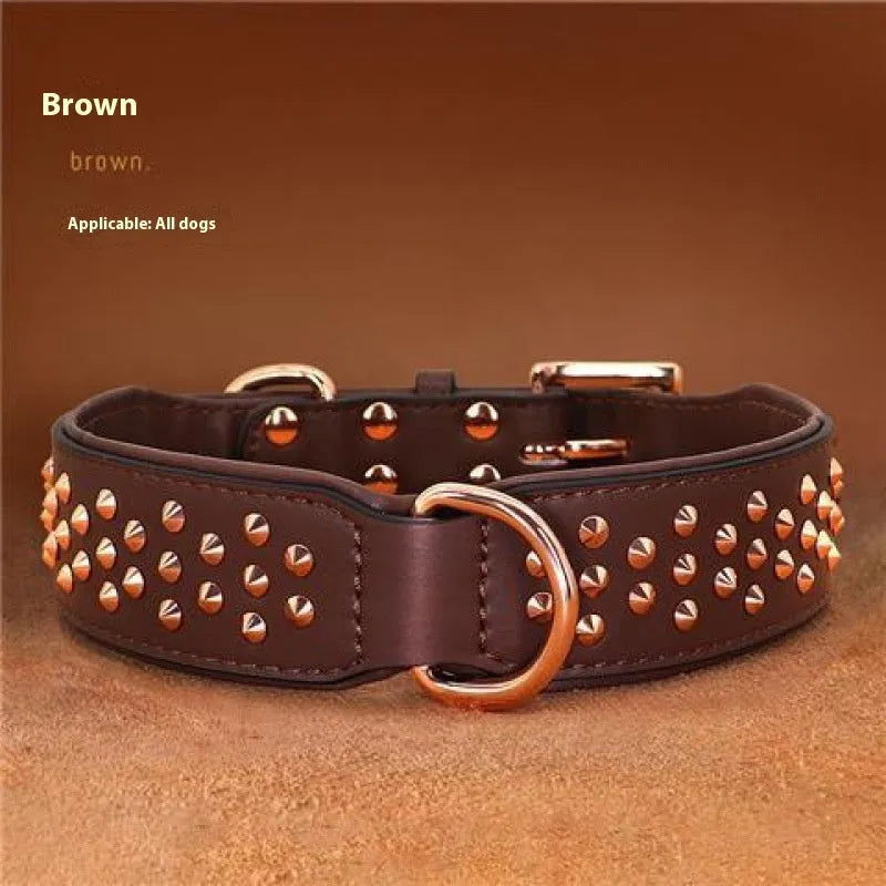 Leather dog collar with brass anti-bite rivets in black, shown with metal buckle.