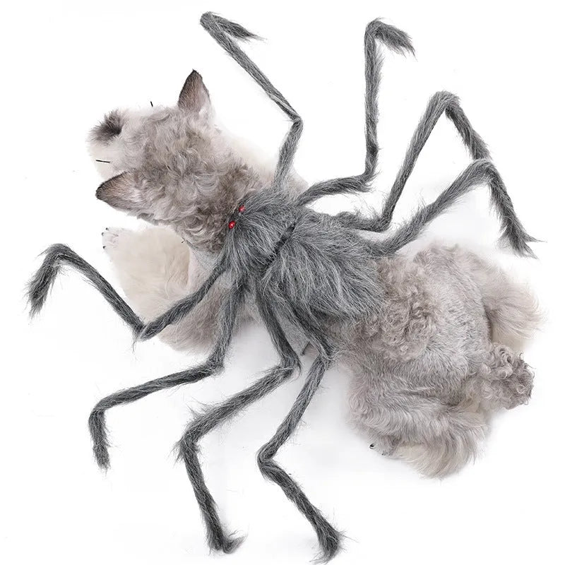 Grey Halloween spider costume for a small dog with eight legs