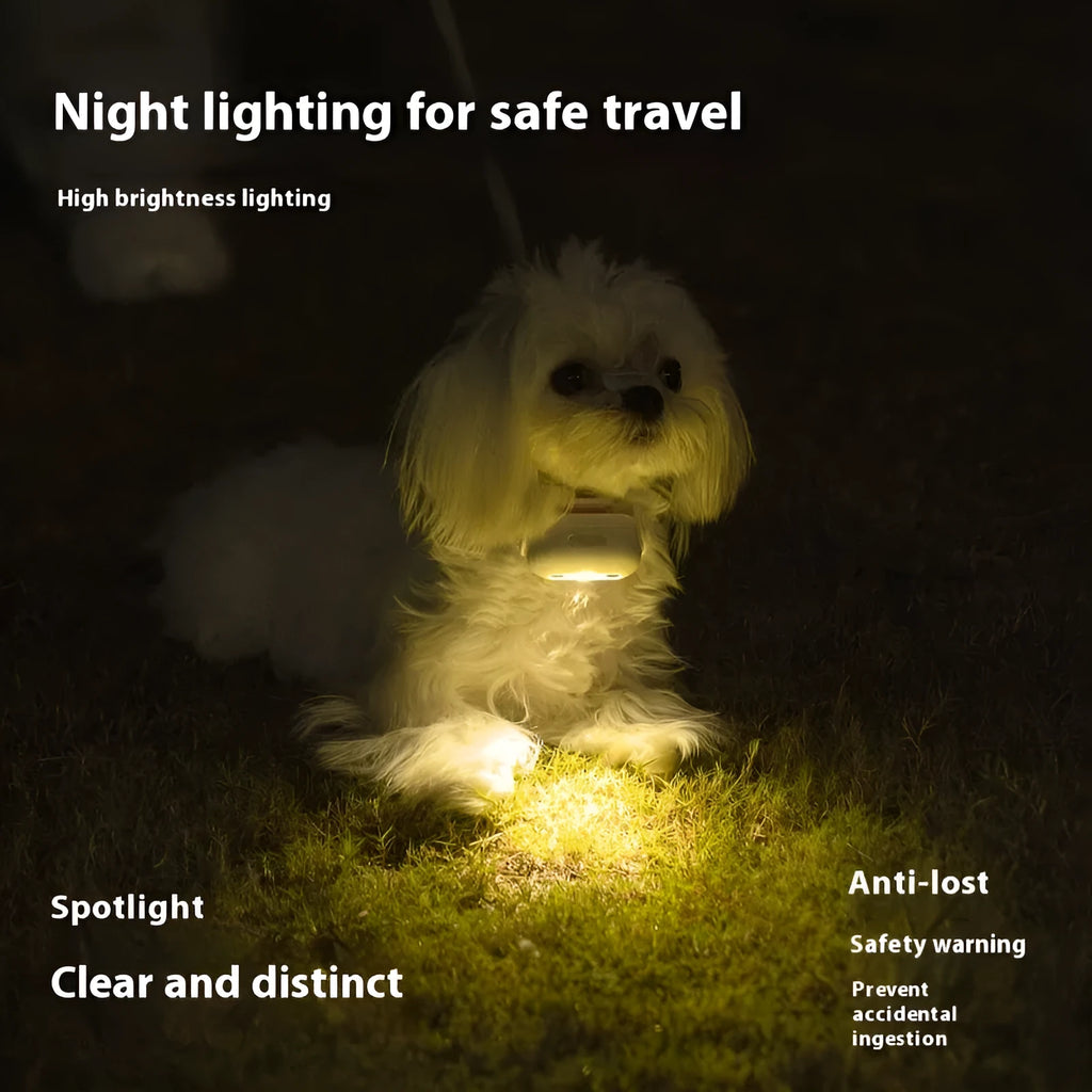 Pet luminous collar accessory in four colour options attached to dog collar