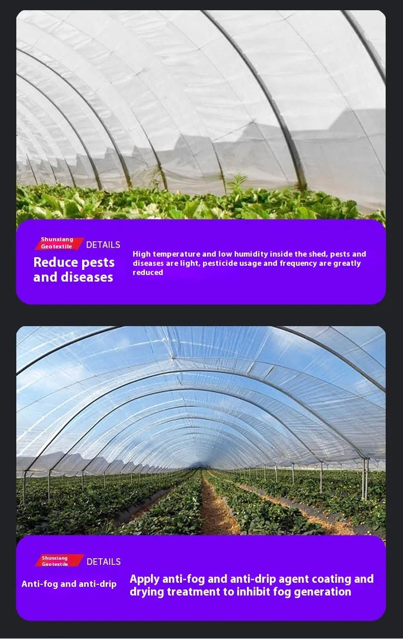 Roll of clear plastic greenhouse film for vegetable shed insulation measuring 4x8 metres
