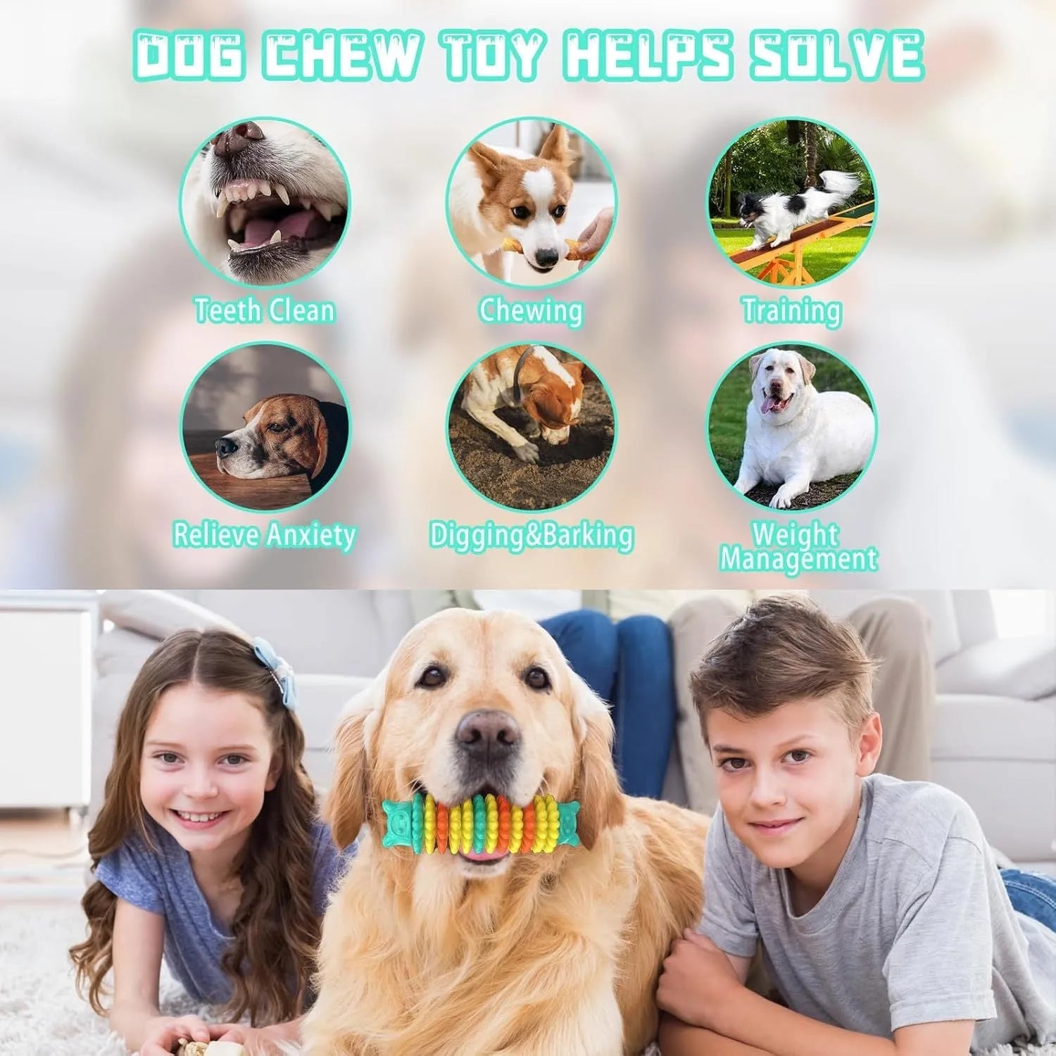 Blue rubber caterpillar-shaped dog chew toy for aggressive chewers