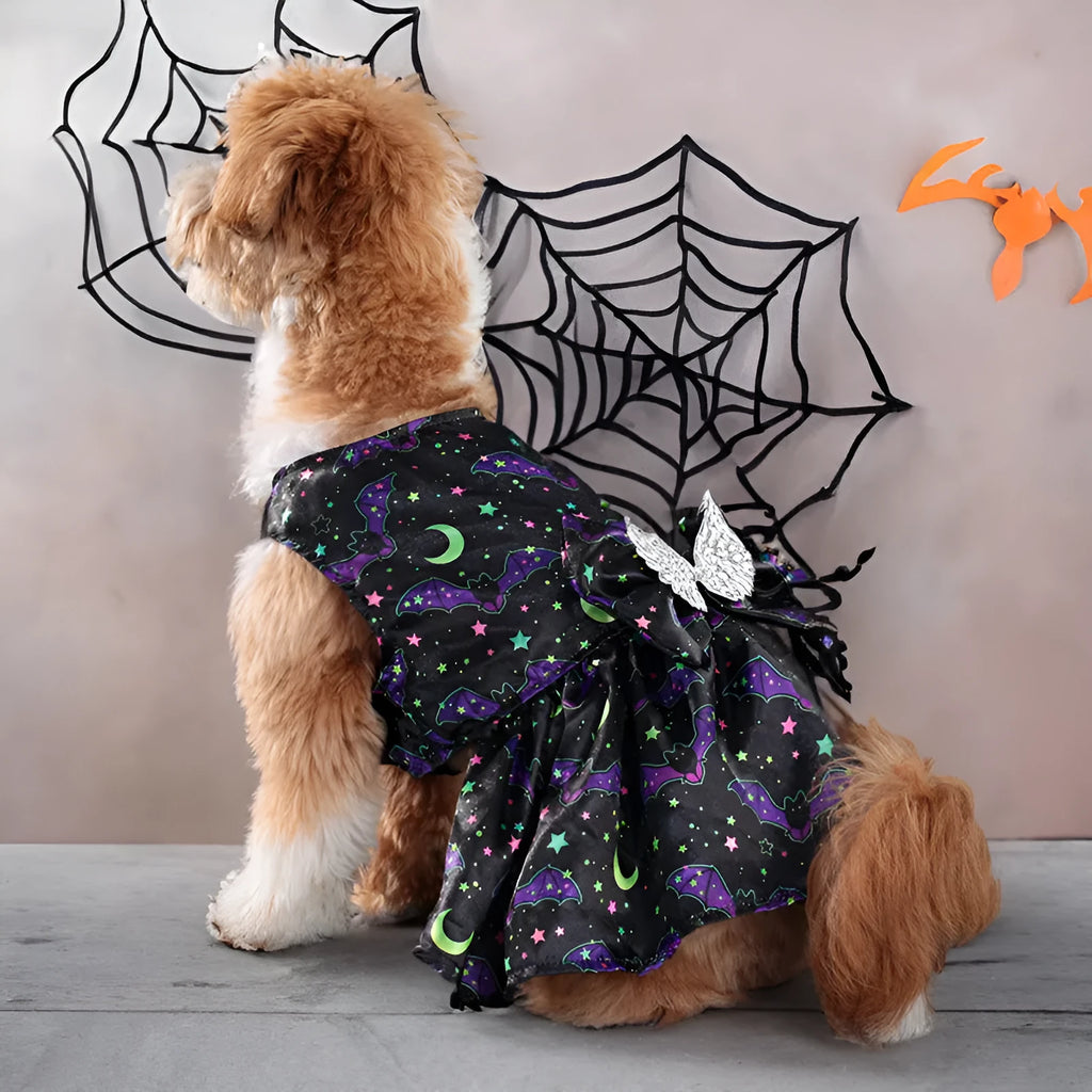 Orange angel wings Halloween costume for a dog on a black background.