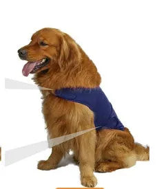A dog wearing a soft cotton tank top for anxiety relief, shown in a choice of colours including brown, dark blue, dark green, and grey.