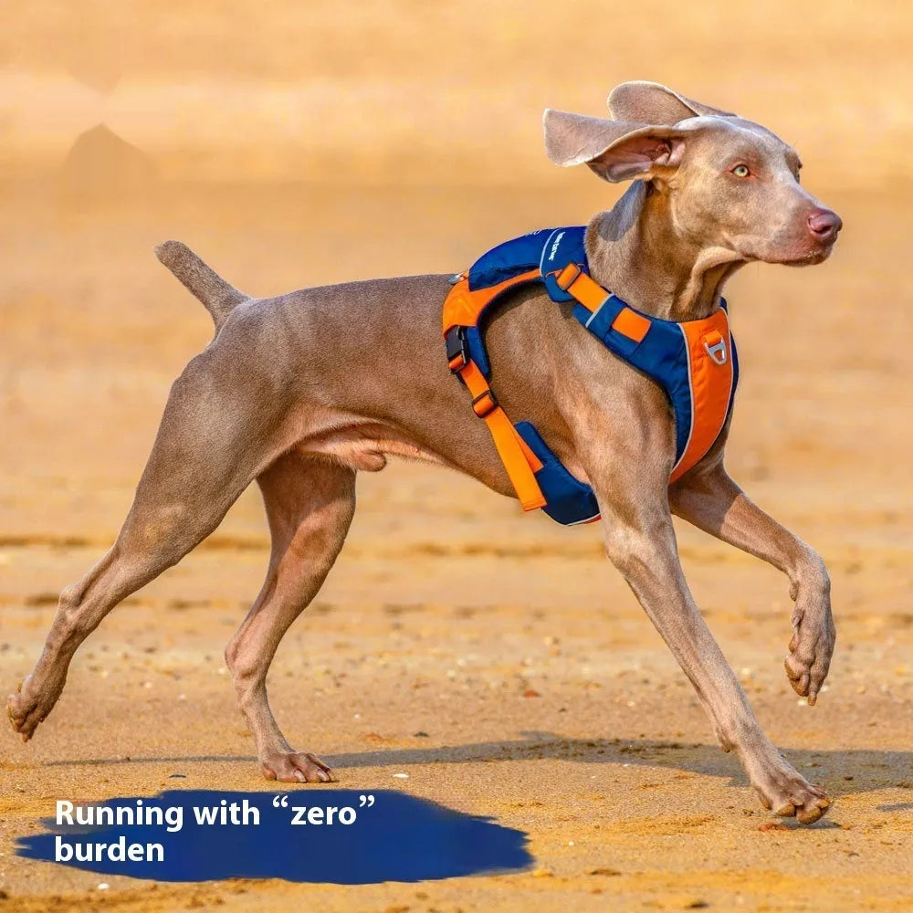 Adjustable dog chest strap vest with hand rope in orange blue colour, showing vest-style design