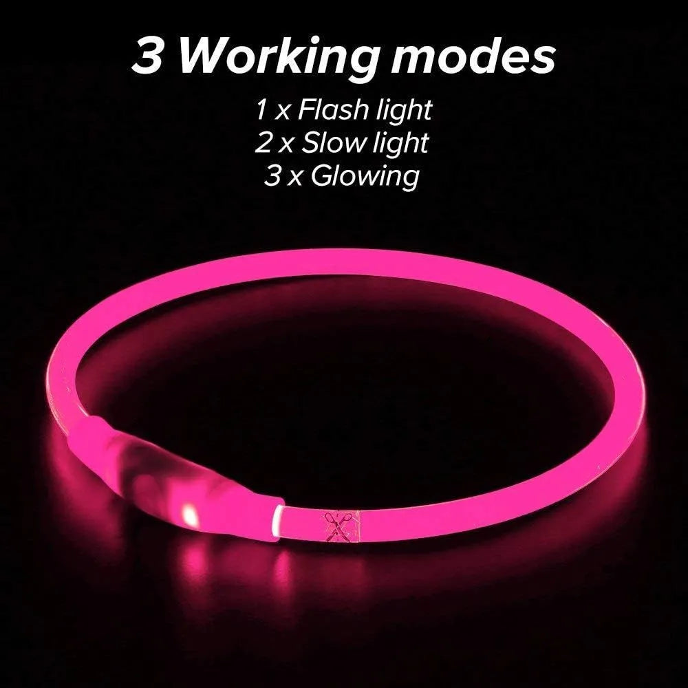 USB rechargeable LED dog collar glowing in dark with adjustable strap