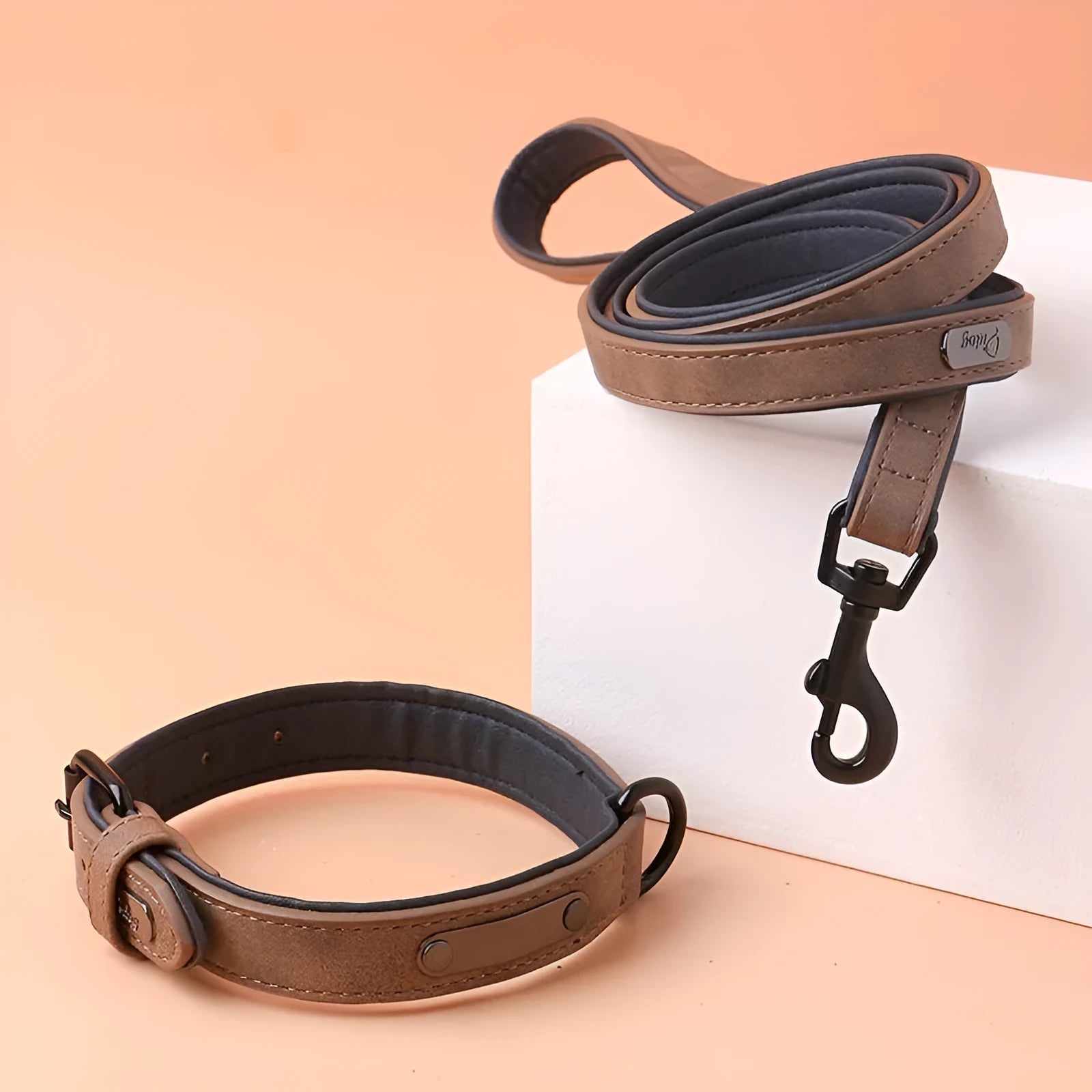 Adjustable anti-loss dog collar in five colour options with metal buckle and double-layer construction
