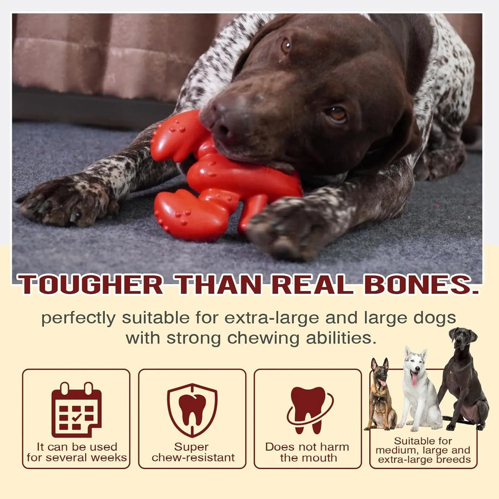 Large red nylon dog chew bone toy for aggressive chewing by big dogs.