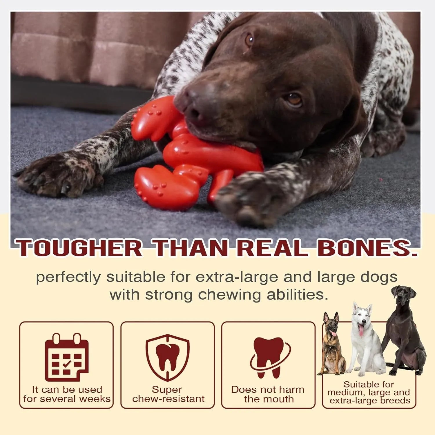 Large red nylon dog chew bone toy for aggressive chewing by big dogs.