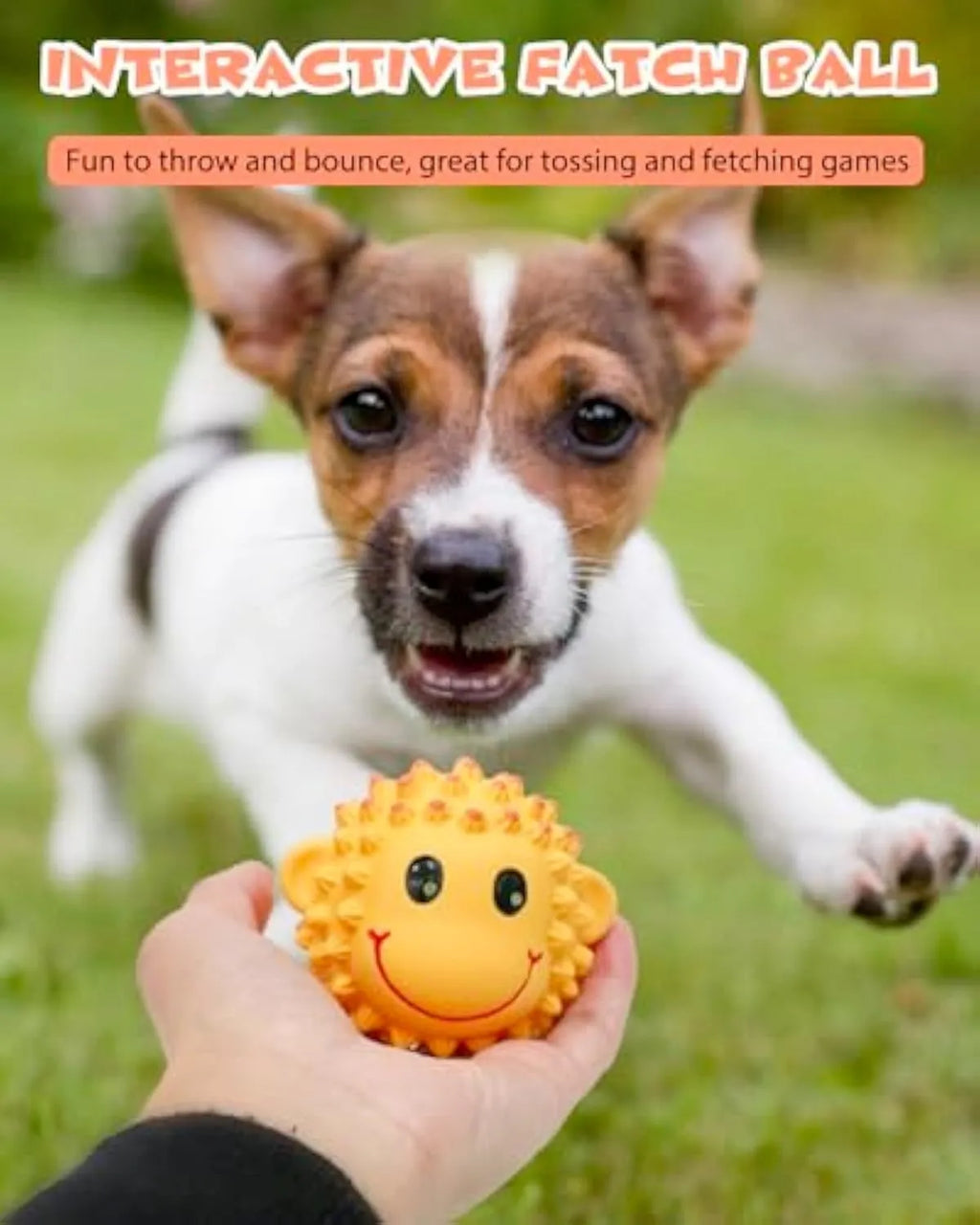 Orange and yellow latex dog toys with spiky texture and animal designs for small medium breeds