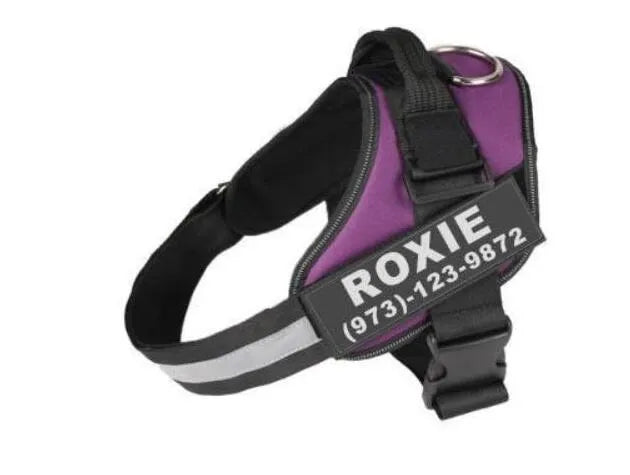 Adjustable reflective dog harness with handle and D-ring on blue background showing size chart