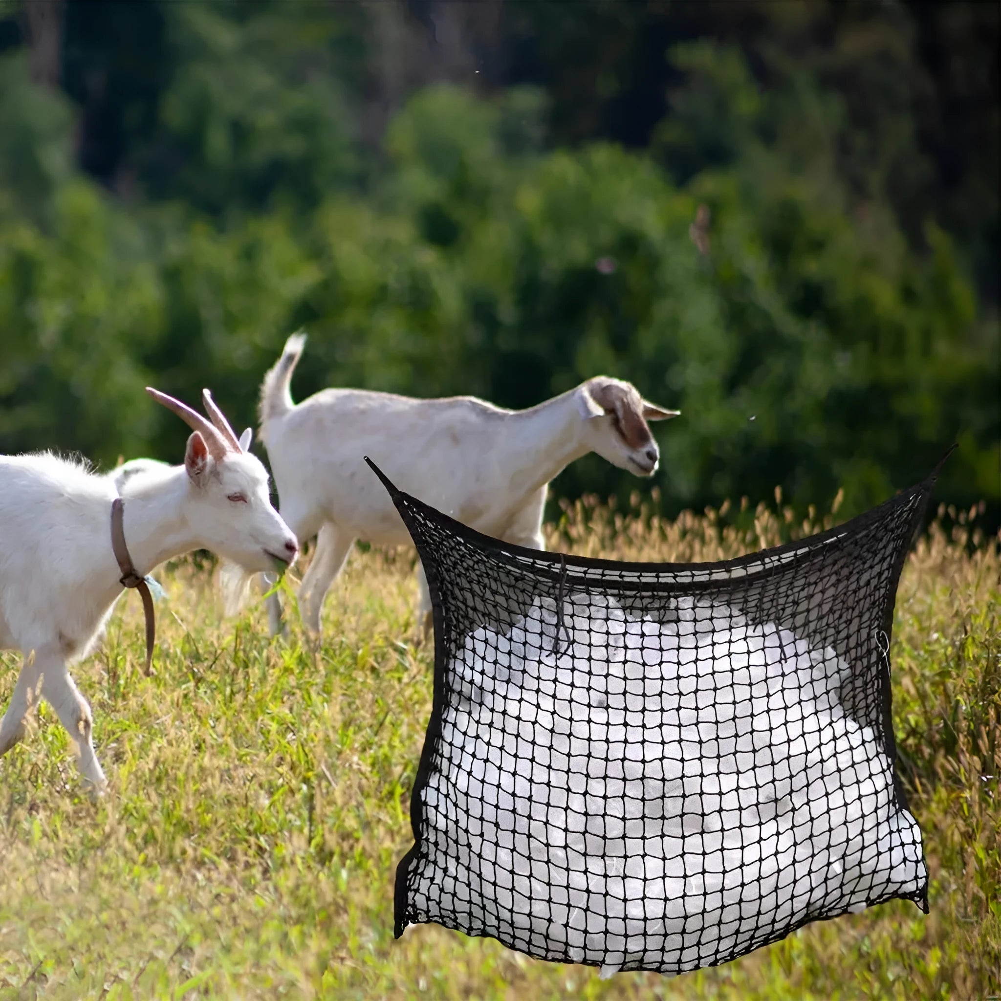 Woven PE rope grid design horse feeding bag in black or white colours
