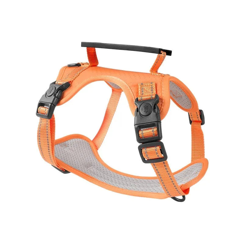A dog harness and lead set in a choice of six colours, made from durable polyester with an adjustable chest strap.