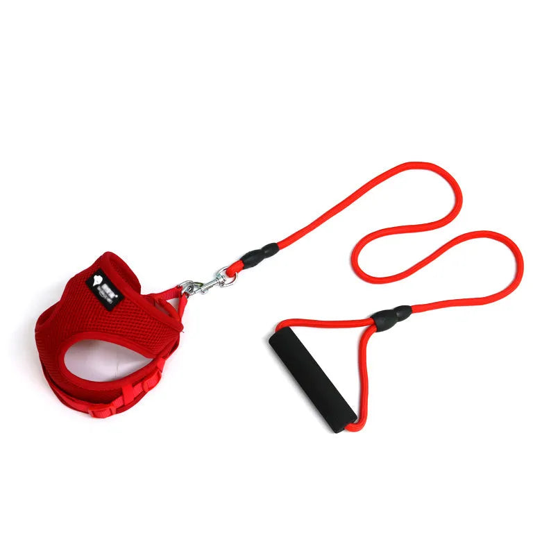 Blue nylon dog leash with foam handle and adjustable collar set on a white background.