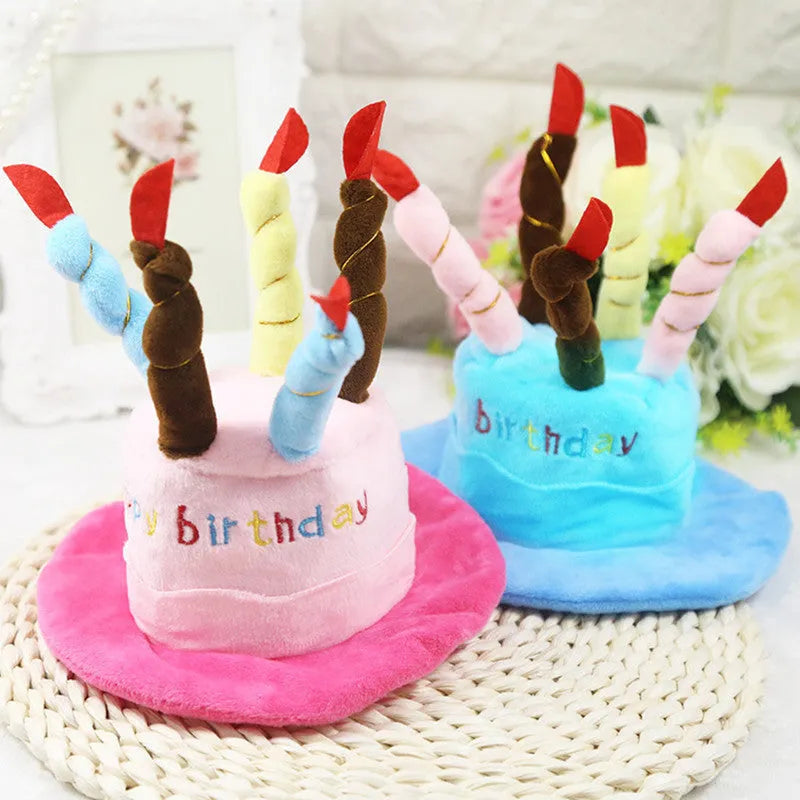 Small dog wearing removable blue birthday hat accessory for canine celebrations