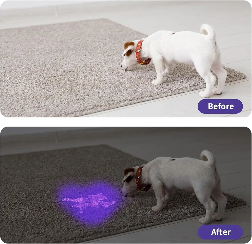 Black aluminium alloy UV flashlight for detecting pet urine stains and pests with 395-400nm wavelength