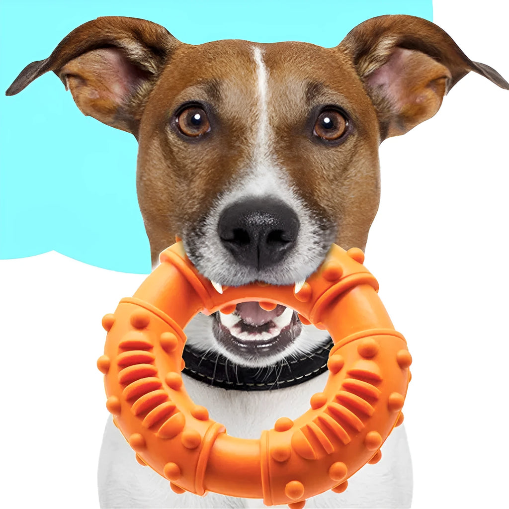 Blue hollow dog fetching stick toy for outdoor and water play with puppies and large dogs